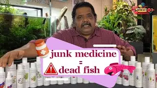 Stop Feeding Your Fish Junk Medicine! | Part 2 - Real Cure for Real Problems | Mayur Dev