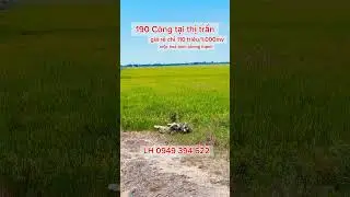 b&aacute;n 190 c&ocirc;ng đất l&uacute;a tại thị trấn mộc ho&aacute; #batdongsan  #linhmochoa #muabandatgiare #trendingshorts