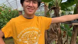 The Amazing Glendale Farm Revisited | One Of The Best Nurseries For Flowers, Vegetables & Gardening