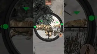 Real animal Hunting 🦒 #games #videos