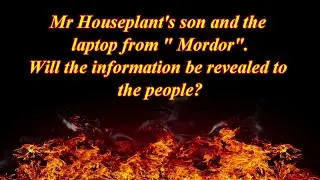 Mr Houseplant's son and the laptop from 