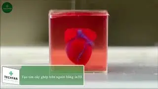 Số 12_5. Tạo tim cấy gh&eacute;p tr&ecirc;n người bằng in3D -TechFan - Nghiện c&ocirc;ng nghệ