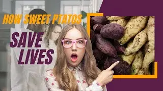 From Malnutrition to Miracle Crop | How Scientists Revolutionized Sweet Potatoes with GM