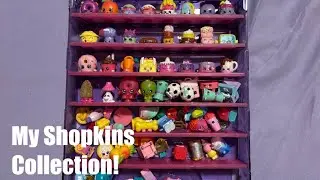 My Shopkins Collection