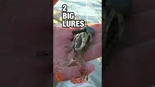 Unlock the secret to catching big bass and avoid the small ones! Fish deeper waters, use larger