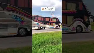 Beautiful Thailand Buses Foryou #Thaibusvideos #Thailand #busvideos #doublebus #Scaniabuses