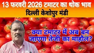 13 Feb 2026 Delhi 🍅 टमाटर होलसेल भाव | Keshopur Mandi | Today Tomato Rate #tamatar #tamatarmandi