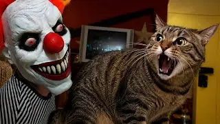 Cats & Dogs Funny Compilation 28 | That&rsquo;ll Make You Laugh Out Loud! 😹🐕