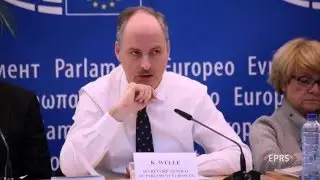 What kind of European political system?, Presentation by Klaus WELLE, 24 February 2016