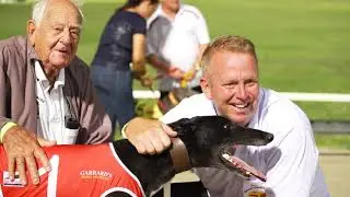 Facts about Australian Greyhound Racing