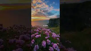 HARLEYS IN HAWAI -KATTY PERRY || LYRICS || AESTHETIC || SLOWED