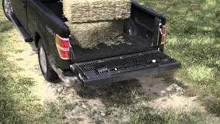2014 F-150 Tailgate Step