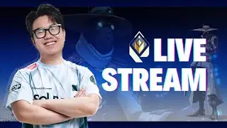 chua gi da nho do an VN