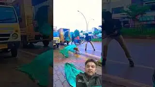 Saitama Aura Dog Catching Funny#onepunchman#funny#dog#streetdogrevival#ytviral