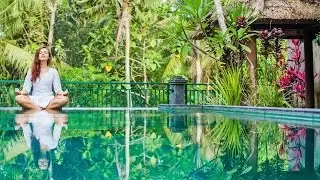 The Mindfulness Clinic Retreats