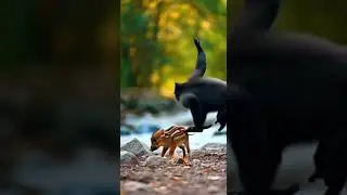NEVER Mess With a Baby Wild Boar! Monkey Shows Unexpected Bravery #wildlife #animals #nature