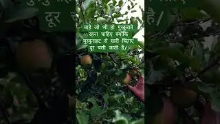 Muskurate raho,#trending  motivational short,#yt ,#happy motivational short, #posetive vibe👌💯
