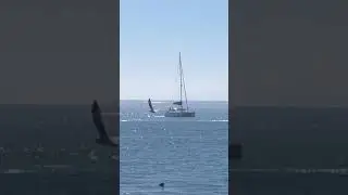 Sailing around on a small catamaran #shorts