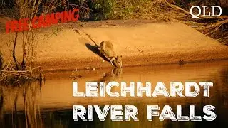 FREE CAMPING!!!  Leichhardt River Falls   QLD