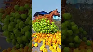 Horse loaded fruits special effects c4d #shortsfeed #shortsyoutube