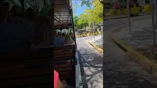 #keywest #trolly #trends #fyp #nature #fypシ #fypviral #inspiration #lifeisbutadream #fypviral #fypシ