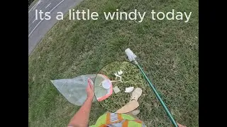 Windy Day Litter Cleanup! #littercleanup