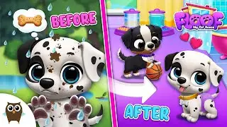 FLOOF Pets Play 🐶 Floof - My Pet House Gameplay Trailer | TutoTOONS