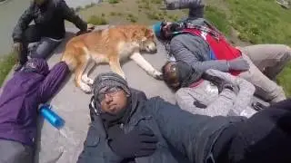 Vlog: Har-ki-Dun-Trek - Day 6/10