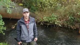 Stream monitoring at Brown&rsquo;s Creek