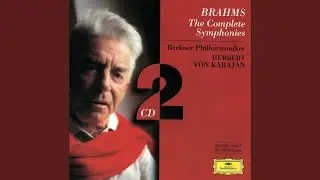 Brahms: Symphony No. 4 in E Minor, Op. 98: II. Andante moderato