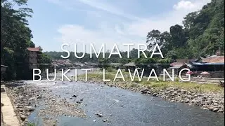 Bukit Lawang Sumatra - Sumatera - Indonesia - Heaven on earth - Best village - wildlife - orangutans