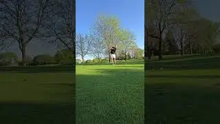 Zen #dogs #cat #golf #golfasmr  #asmr #texas #zen #nature #viralshorts #championsleague #elclasico