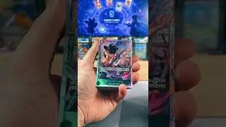 Nami Gold Don!!