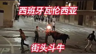 刺激的西班牙街头斗牛 Exciting Spanish street bullfighting