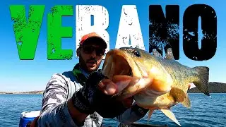 Ya tenia pensado irme y los ENCONTR&Eacute;!! Black bass en Extremadura