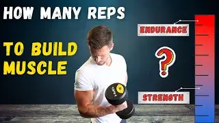 Unlocking Muscle Growth: The Best Rep Range for Strength, Size, and Endurance