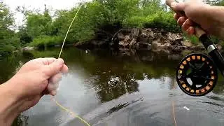 Summer Flyfishing a Small Stream