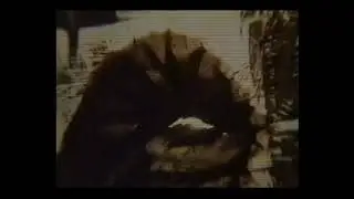 Curtis Roads - Fluxon (2003) [Visual]