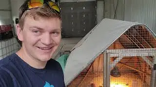 Incubator Finale! Chickens are on the Move!