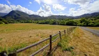 Elgar - Nursery Suite - Thomson