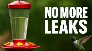 Why Your Hummingbird Feeder Is Leaking (And How to Fix It)