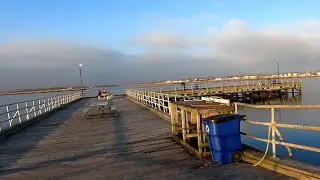 HERRING FISHING - Looking for Herring from Long Island to Brooklyn back to Queens