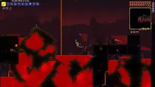 jungle exploration Terraria Uncommented Gameplay