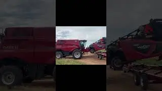 Wheat Harvest