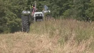 UMaine study reveals which crops are more likely to absorb PFAS