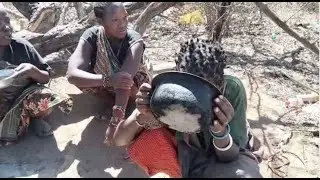 Discover how Hadzabe bush life: cook, eat, share.#VillageCooking