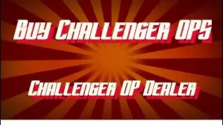 Buy Challenger OP System. Start A Carpet Business.
