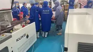 GH 5515ML+SF 8030LG lobster double side sealer and shrink wrapping machine for red crayfish