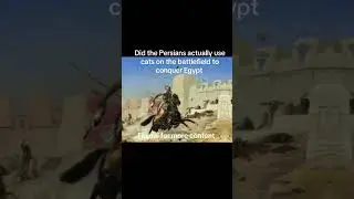 Cats on the battlefield #history #historyofeducation