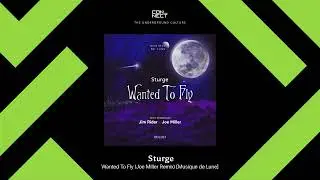 PREMIERE: Sturge - Wanted To Fly (Joe Miller Remix) [Musique de Lune]